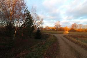 Parduodamas namų valdos paskirties sklypas Z. Malinsko g., Paliūniškio k., Panevėžio r. sav., 141 a ploto 3