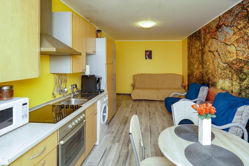 Parduodamas butas Molainių g., Molainiai, Panevėžio m., Panevėžio m. sav., 38.74 m2 ploto, 2 kambariai 3