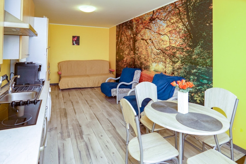Parduodamas butas Molainių g., Molainiai, Panevėžio m., Panevėžio m. sav., 38.74 m2 ploto, 2 kambariai 4