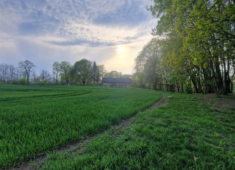 Parduodamas namas Vadaktų k., Panevėžio r. sav., 105.00 m² ploto 6 kambariai