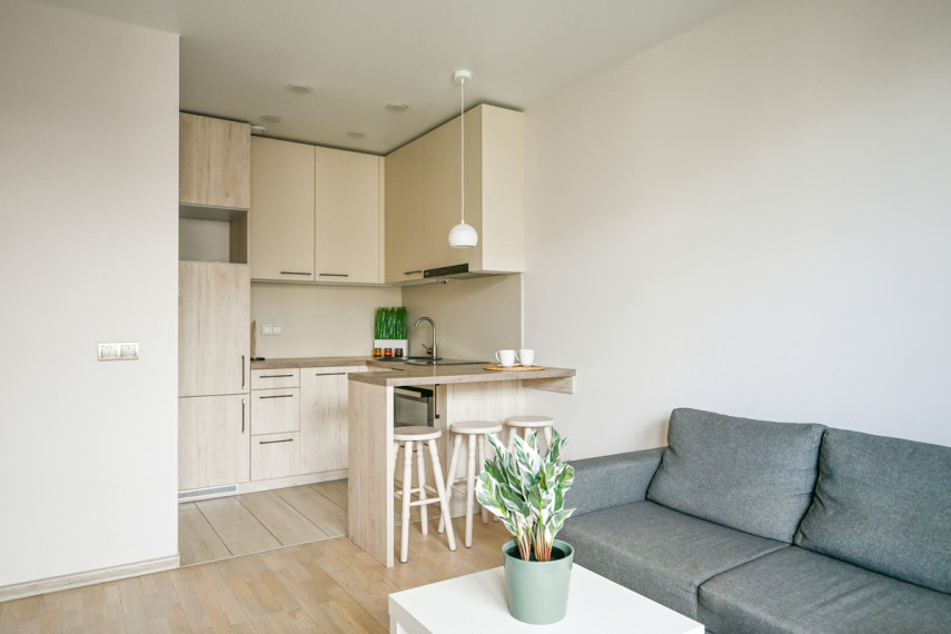 Nuomojamas butas Pieninės g., Žvėrynas, Vilniaus m., Vilniaus m. sav., 35.25 m2 ploto, 2 kambariai 2