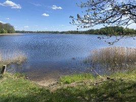 Parduodamas sklypas Lamėsto g., Antalamėstės k., Utenos r. sav., 344 a ploto 11