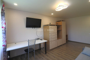 Nuomojamas butas Nemuno g. , Centras, Panevėžio m., Panevėžio m. sav., 30.4 m2 ploto, 1 kambariai 3