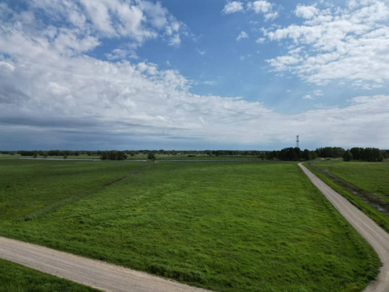 Parduodamas sklypas Pakalnės k., Šilutės r. sav., 426.00 a ploto 4