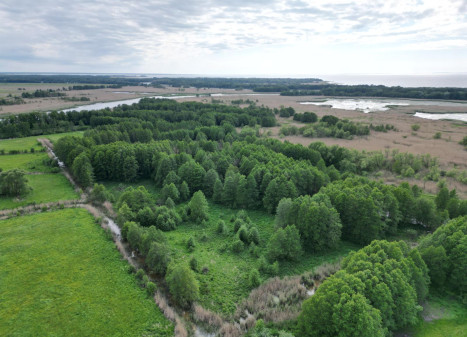 Parduodamas sklypas Vorusnės k., Šilutės r. sav., 427.00 a ploto