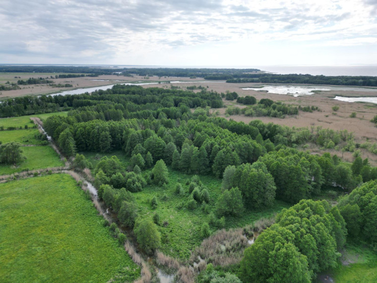 Parduodamas sklypas Vorusnės k., Šilutės r. sav., 427.00 a ploto 1