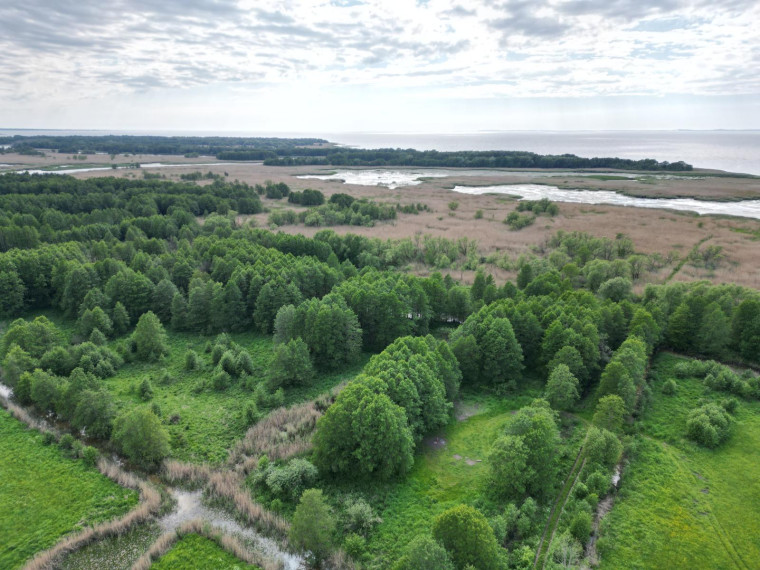 Parduodamas sklypas Vorusnės k., Šilutės r. sav., 427.00 a ploto 2