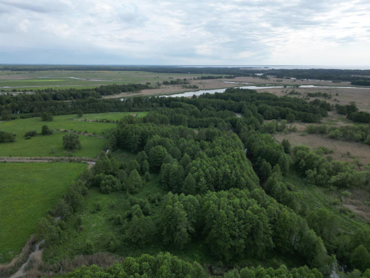 Parduodamas sklypas Vorusnės k., Šilutės r. sav., 427.00 a ploto 3