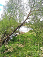 Parduodamas namas ant Šventosios upės kranto, Užpalių miestelyje, Utenos raj. 5