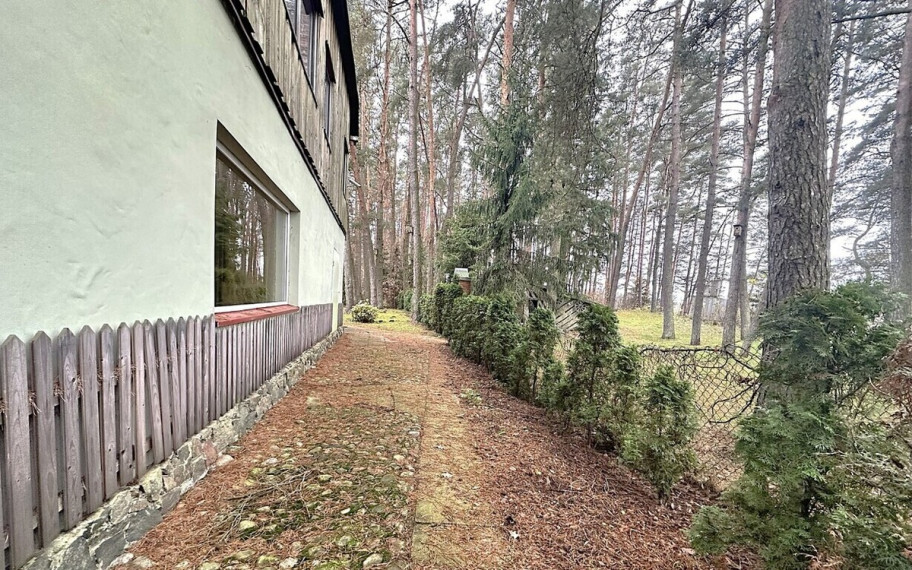 PARDUODAMA GYVENIMUI IR VEIKLAI PRITAIKYTA SODYBA SU PIRTIMI PUŠYNO APSUPTYJE BYGALIŲ KAIME, 20 KM NUO PANEVĖŽIO MIESTO 46