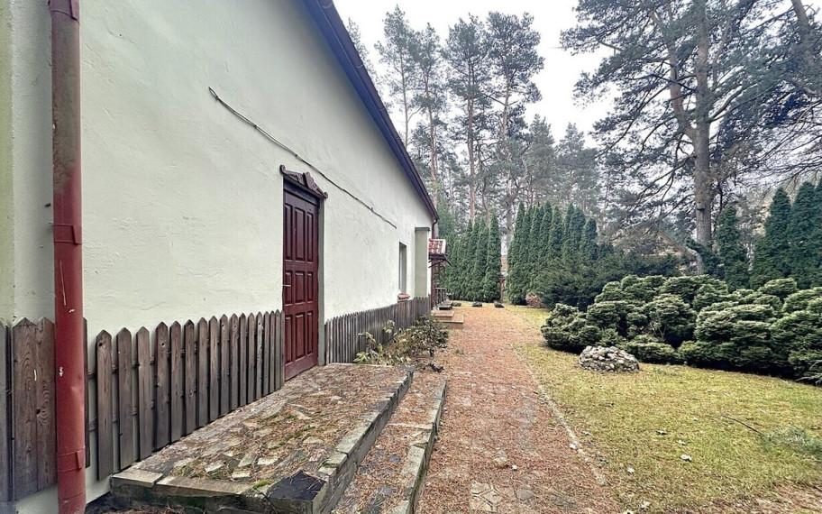PARDUODAMA GYVENIMUI IR VEIKLAI PRITAIKYTA SODYBA SU PIRTIMI PUŠYNO APSUPTYJE BYGALIŲ KAIME, 20 KM NUO PANEVĖŽIO MIESTO 48