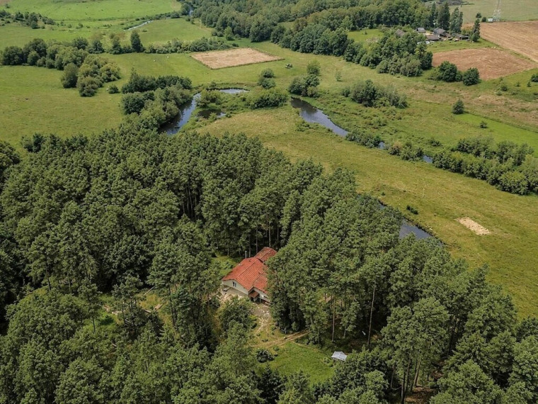 PARDUODAMA GYVENIMUI IR VEIKLAI PRITAIKYTA SODYBA SU PIRTIMI PUŠYNO APSUPTYJE BYGALIŲ KAIME, 20 KM NUO PANEVĖŽIO MIESTO 55