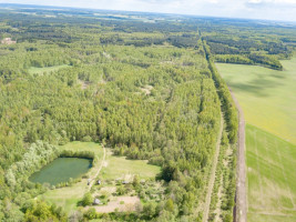 Parduodamas  sklypas Kuzmiškio k., Panevėžio r. sav., 840 a ploto 2