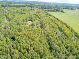 Parduodamas  sklypas Kuzmiškio k., Panevėžio r. sav., 840 a ploto 3