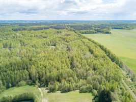 Parduodamas  sklypas Kuzmiškio k., Panevėžio r. sav., 840 a ploto 4