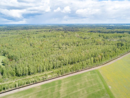 Parduodamas  sklypas Kuzmiškio k., Panevėžio r. sav., 840 a ploto 6