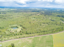 Parduodamas  sklypas Kuzmiškio k., Panevėžio r. sav., 840 a ploto 7
