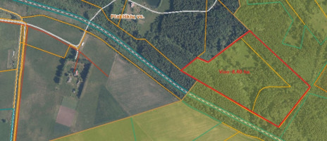 Parduodamas  sklypas Kuzmiškio k., Panevėžio r. sav., 840 a ploto 10