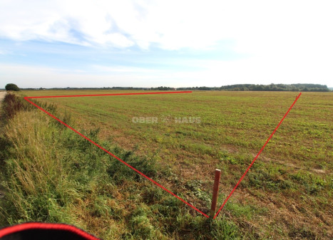 Parduodamas namų valdos paskirties sklypas Kuršių g., Dituvos k., Klaipėdos r. sav., 53.08 a ploto