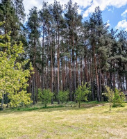 Parduodamas namas Dainavos 5-oji g., Neravų k., Druskininkų sav., 77.76 m2 ploto, 2 aukštai 2