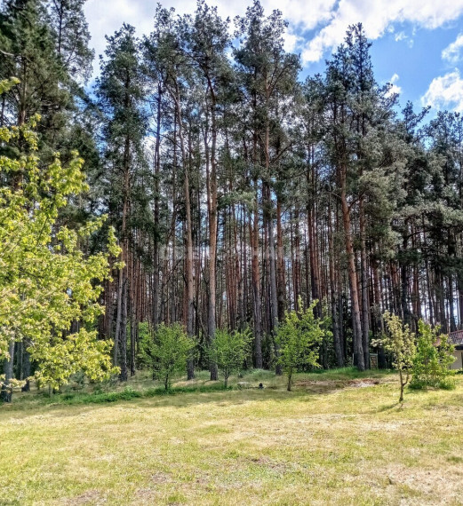 Parduodamas namas Dainavos 5-oji g., Neravų k., Druskininkų sav., 77.76 m2 ploto, 2 aukštai 2