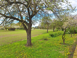 Parduodamas namas Skuodo g., Daukšių k., Skuodo r. sav., 102.08 m2 ploto, 1 aukštai 23