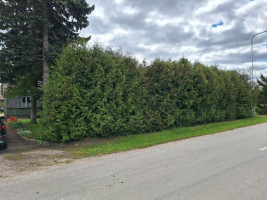 Parduodamas namas Skuodo g., Daukšių k., Skuodo r. sav., 102.08 m2 ploto, 1 aukštai 30
