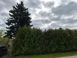 Parduodamas namas Skuodo g., Daukšių k., Skuodo r. sav., 102.08 m2 ploto, 1 aukštai 31