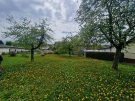 Parduodamas kitos paskirties sklypas Kelmijos Sodų 8-oji g., Salininkai, Vilniaus m., Vilniaus m. sav., 8.71 a ploto 7