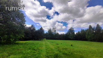 PARDUODAMA SODYBA–VIENKIEMIS SU 18,13 HA SKLYPU IR NUOSAVU MIŠKU GILVYDŽIŲ K., ANYKŠČIŲ 11