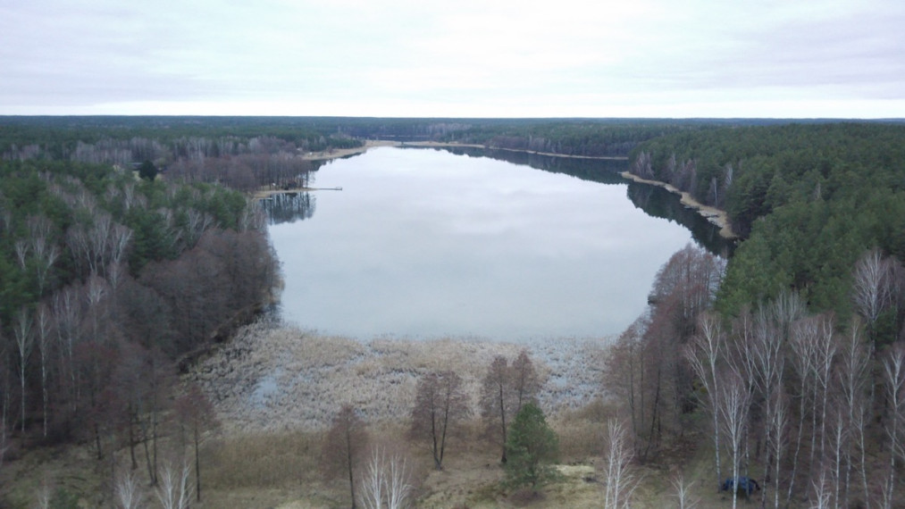 Parduodamas  sklypas Nasūtų k., Lazdijų r. sav., 346.79 a ploto 5