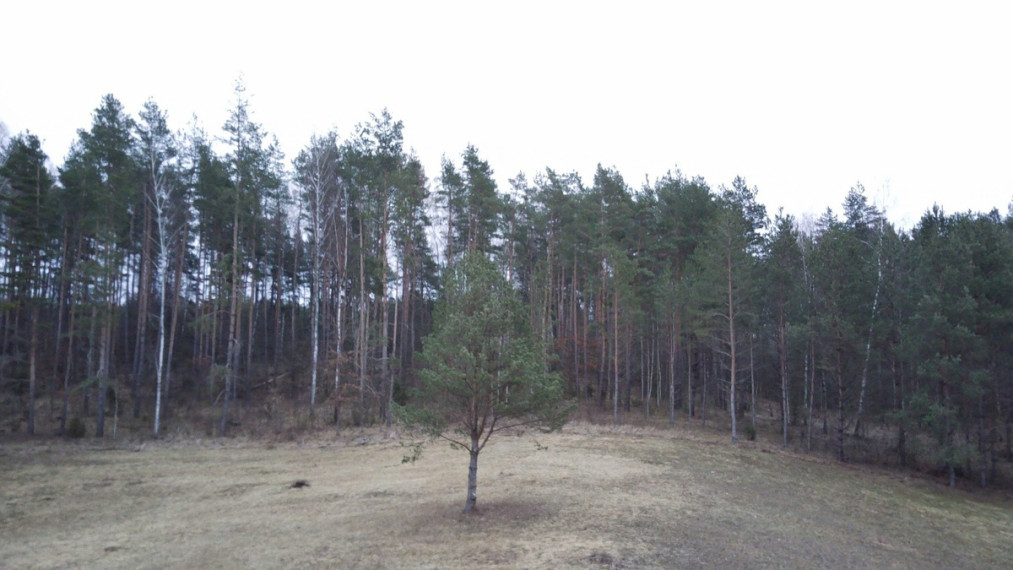 Parduodamas  sklypas Nasūtų k., Lazdijų r. sav., 346.79 a ploto 9