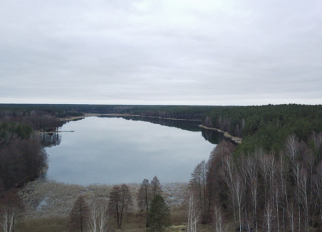 Parduodamas  sklypas Nasūtų k., Lazdijų r. sav., 346.79 a ploto
