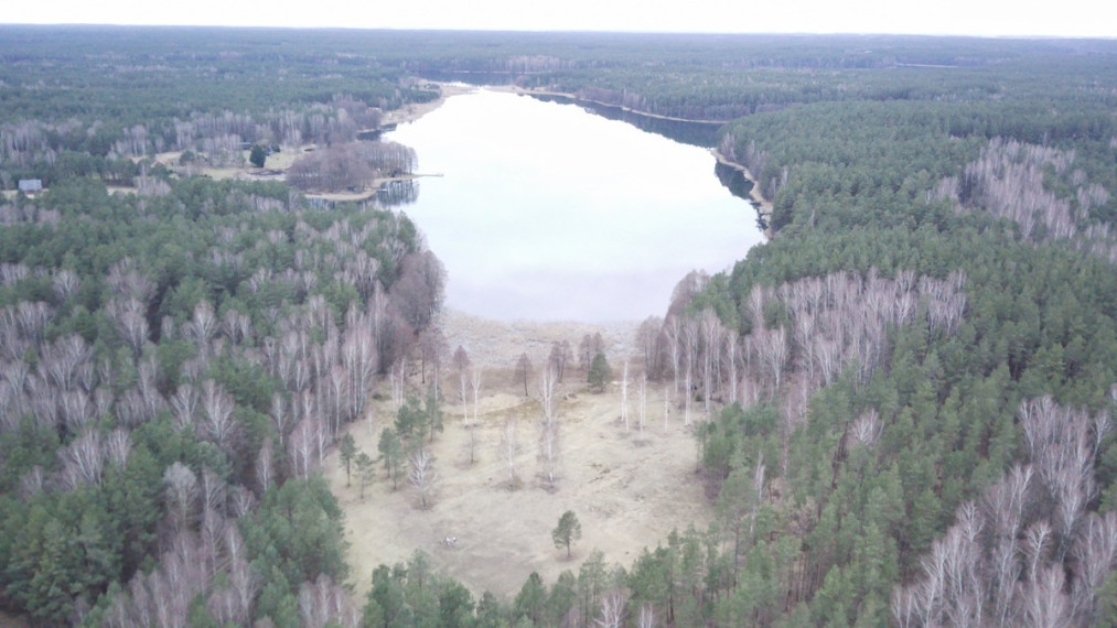 Parduodamas  sklypas Nasūtų k., Lazdijų r. sav., 346.79 a ploto 2