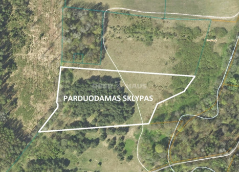 Parduodamas žemės ūkio paskirties sklypas Dvylių k., Klaipėdos r. sav., 180 a ploto