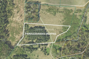 Parduodamas žemės ūkio paskirties sklypas Dvylių k., Klaipėdos r. sav., 180 a ploto 1