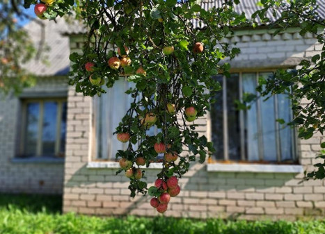 Parduodamas namas Meilūnų g., Meilūnų k., Ukmergės r. sav., 81.07 m² ploto 4 kambariai