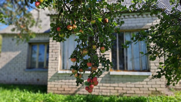 Parduodamas namas Meilūnų g., Meilūnų k., Ukmergės r. sav., 81.07 m² ploto 4 kambariai 1