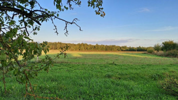 Parduodamas namas Meilūnų g., Meilūnų k., Ukmergės r. sav., 81.07 m² ploto 4 kambariai 18