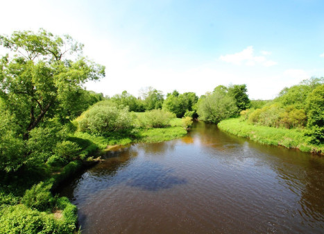 Parduodamas  sklypas Žemųjų Viesų k., Širvintų r. sav., 40 a ploto