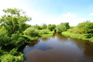 Parduodamas  sklypas Žemųjų Viesų k., Širvintų r. sav., 40 a ploto 1