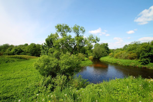 Parduodamas  sklypas Žemųjų Viesų k., Širvintų r. sav., 40 a ploto 2