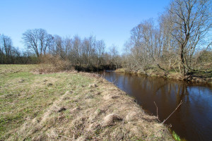 Parduodamas  sklypas Žemųjų Viesų k., Širvintų r. sav., 40 a ploto 5
