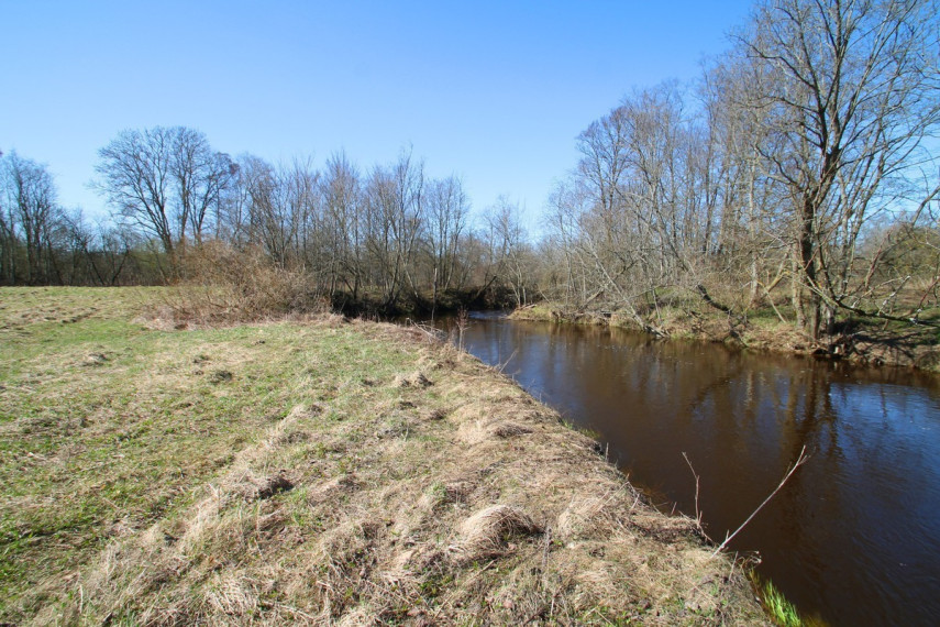 Parduodamas sklypas Žemųjų Viesų k., Širvintų r. sav., 40 a ploto 5