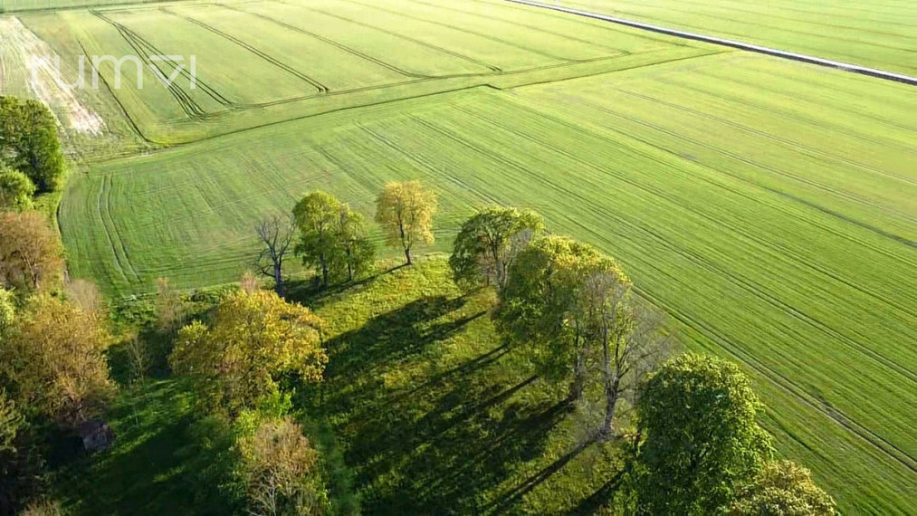 PARDUODAMAS 0,4096 ha AUTENTIŠKA SODYBA BOBIŠKIŲ K., PANEVĖŽIO R. 6
