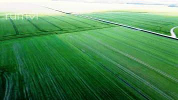 PARDUODAMAS 0,4096 ha AUTENTIŠKA SODYBA BOBIŠKIŲ K., PANEVĖŽIO R. 21