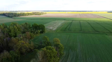 PARDUODAMAS 0,4096 ha AUTENTIŠKA SODYBA BOBIŠKIŲ K., PANEVĖŽIO R. 22