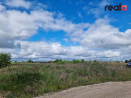 Parduodamas sklypas Šalpusnių g., Tabariškių k., 6.08 a ploto 3