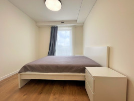 Nuomojamas butas Grigalaukio g., Pašilaičiai, Vilniaus m., Vilniaus m. sav., 53.42 m2 ploto, 3 kambariai 16