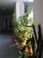 Parduodamas butas Santariškių g., Santariškės, Vilniaus m., Vilniaus m. sav., 43.96 m² ploto 2 kambariai 18